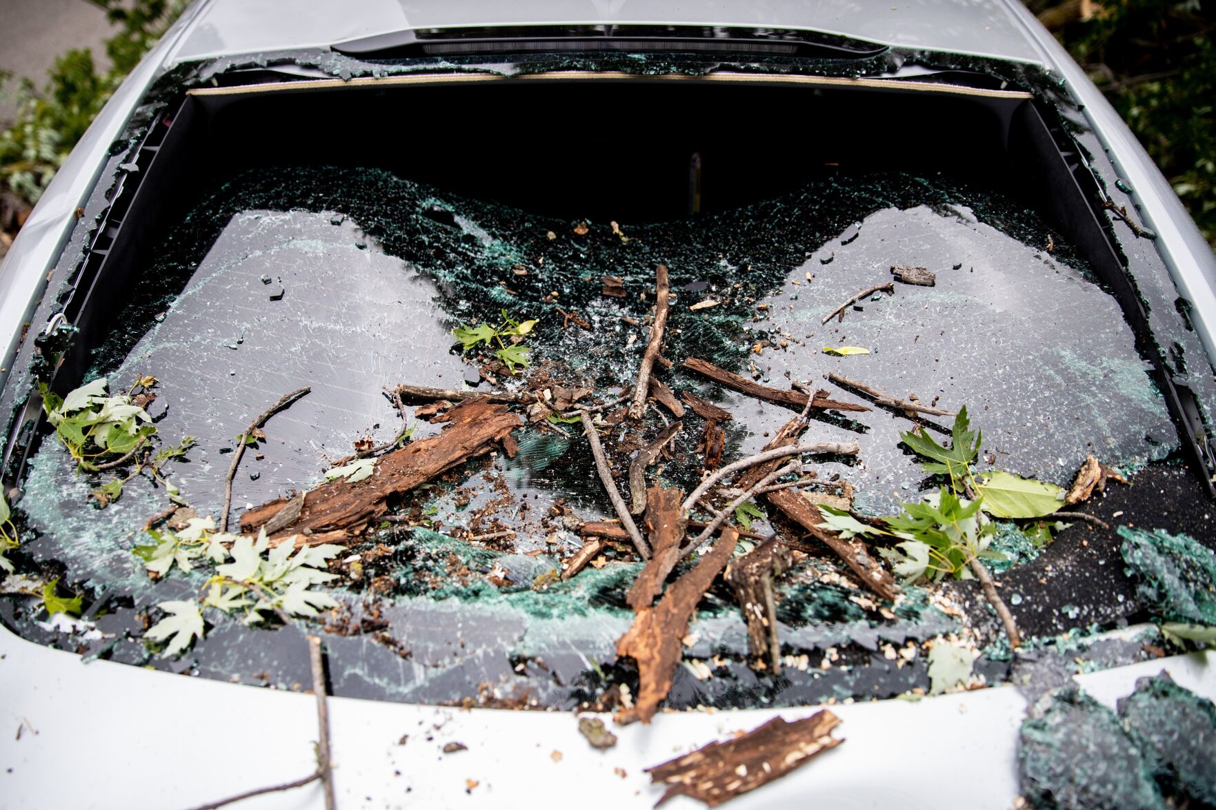 Busted Windshield